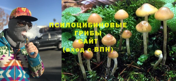 соль ск Верхний Тагил