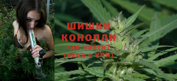 соль ск Верхний Тагил