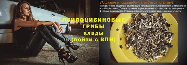 соль ск Верхний Тагил