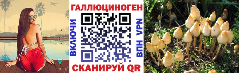 hydra маркетплейс Волосово Галлюциногенные грибы прущие грибы