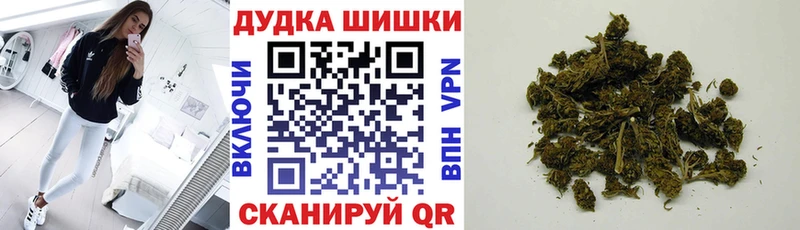 как найти закладки  блэк спрут как зайти  Шишки марихуана планчик  Волосово 